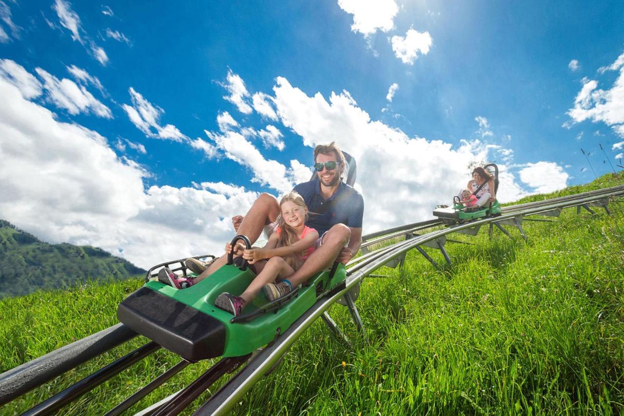 Panorama - Steinbock Zell am See